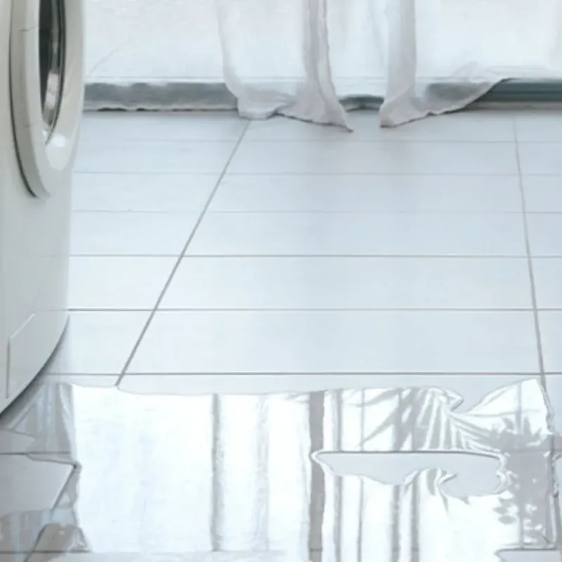Appliance Leak Cleanup in Bessemer City, NC