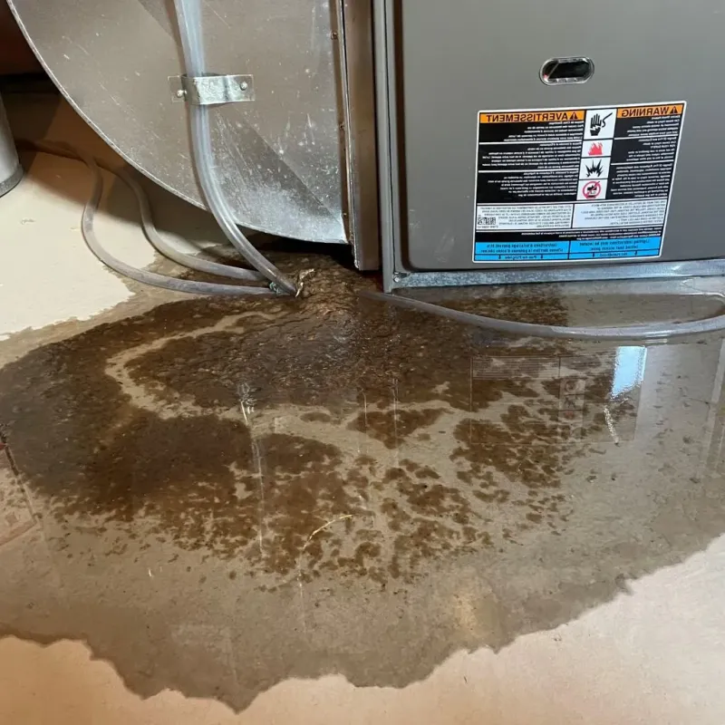 Pipe Burst and Leak Restoration in Bessemer City, NC